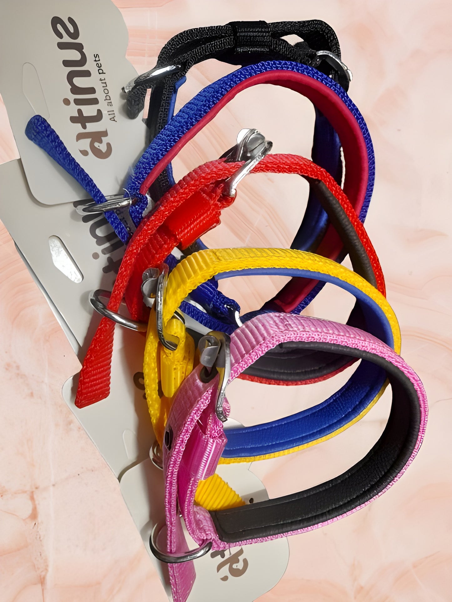 Atinus adjustable pet collar belt for dogs and cats, durable nylon collar with buckle, fits small to large pets, pet accessory online in India.