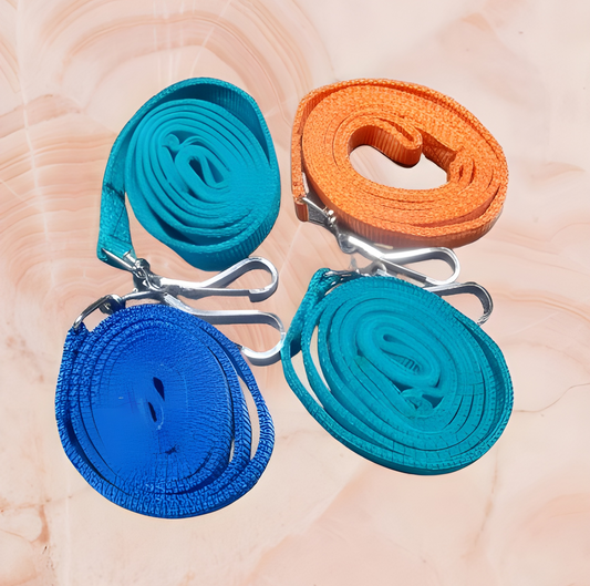 Classic padded dog leash with soft grip handle, 125cm nylon leash for small to large dogs, pet accessories online in India.